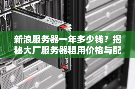 新浪服务器一年多少钱？揭秘大厂服务器租用价格与配置内幕！
