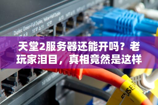 天堂2服务器还能开吗？老玩家泪目，真相竟然是这样！