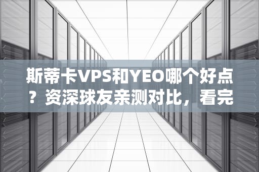 斯蒂卡VPS和YEO哪个好点？资深球友亲测对比，看完这篇不再纠结！