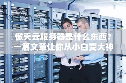 傲天云服务器是什么东西？一篇文章让你从小白变大神！