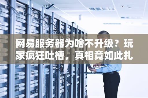 网易服务器为啥不升级？玩家疯狂吐槽，真相竟如此扎心！