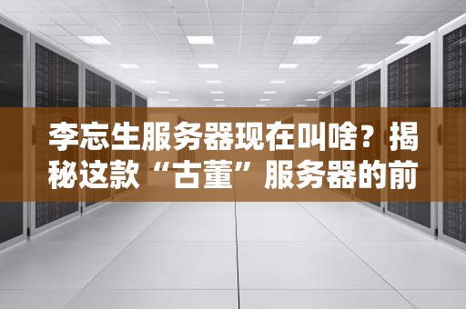 李忘生服务器现在叫啥？揭秘这款“古董”服务器的前世今生与替代方案