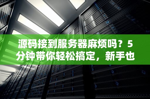 源码接到服务器麻烦吗？5分钟带你轻松搞定，新手也能变大神！