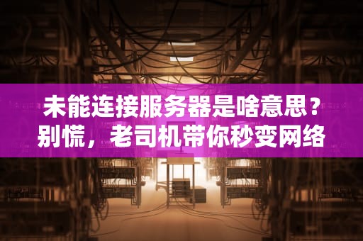 未能连接服务器是啥意思？别慌，老司机带你秒变网络侦探！