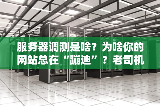 服务器调测是啥？为啥你的网站总在“蹦迪”？老司机带你揭秘！