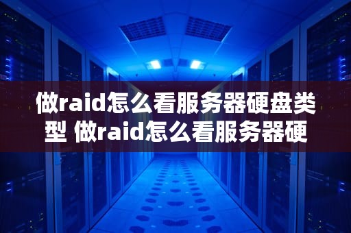 做raid怎么看服务器硬盘类型 做raid怎么看服务器硬盘类型和型号