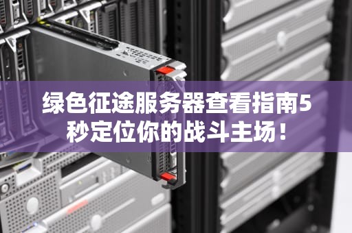 绿色征途服务器查看指南5秒定位你的战斗主场！