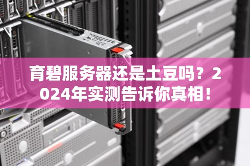 育碧服务器还是土豆吗？2024年实测告诉你真相！
