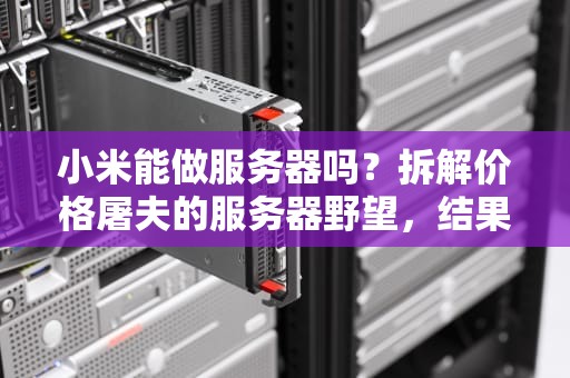 小米能做服务器吗？拆解价格屠夫的服务器野望，结果让人意外！