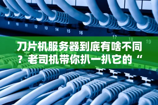 刀片机服务器到底有啥不同？老司机带你扒一扒它的“内裤”！（附真实测评）