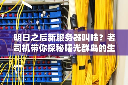 明日之后新服务器叫啥？老司机带你探秘曙光群岛的生存法则！
