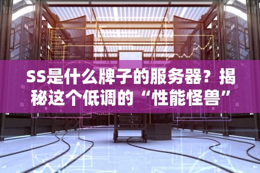 SS是什么牌子的服务器？揭秘这个低调的“性能怪兽”