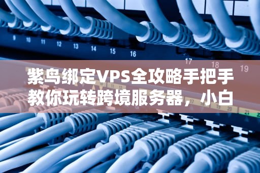 紫鸟绑定VPS全攻略手把手教你玩转跨境服务器，小白也能秒变技术大佬！
