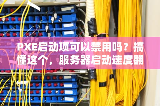PXE启动项可以禁用吗？搞懂这个，服务器启动速度翻倍！