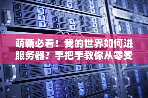 萌新必看！我的世界如何进服务器？手把手教你从零变大佬！