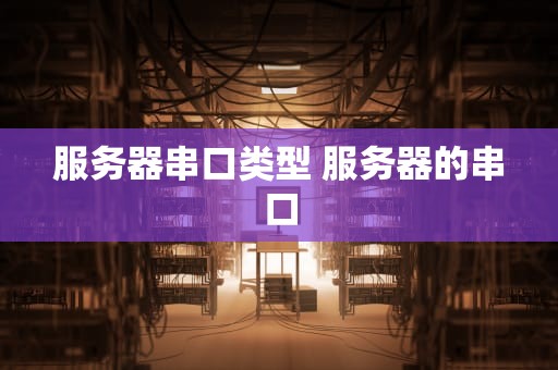 服务器串口类型 服务器的串口