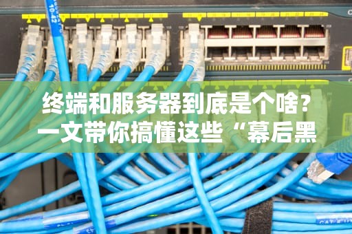 终端和服务器到底是个啥？一文带你搞懂这些“幕后黑手”！