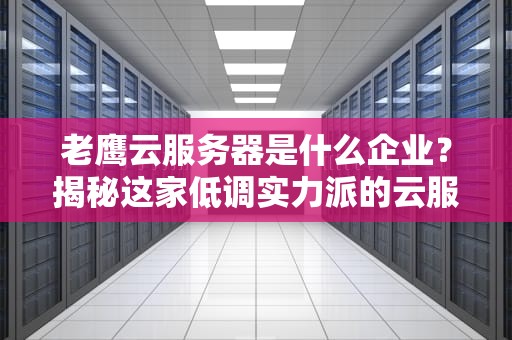 老鹰云服务器是什么企业？揭秘这家低调实力派的云服务商！