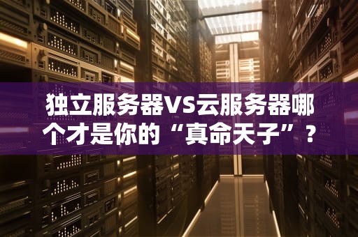 独立服务器VS云服务器哪个才是你的“真命天子”？（附专业测评+小白避坑指南）