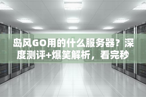 岛风GO用的什么服务器？深度测评+爆笑解析，看完秒懂！