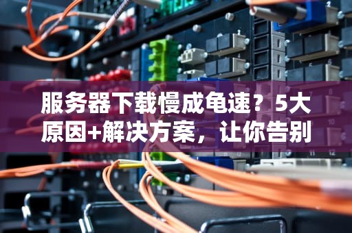 服务器下载慢成龟速？5大原因+解决方案，让你告别“等等党”！