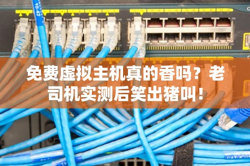 免费虚拟主机真的香吗？老司机实测后笑出猪叫！