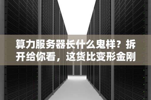 算力服务器长什么鬼样？拆开给你看，这货比变形金刚还硬核！