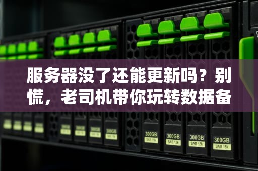 服务器没了还能更新吗？别慌，老司机带你玩转数据备份与恢复！