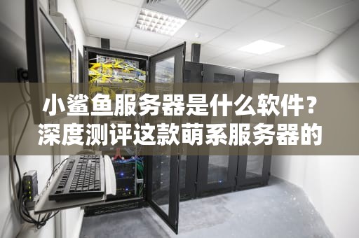 小鲨鱼服务器是什么软件？深度测评这款萌系服务器的真实实力！