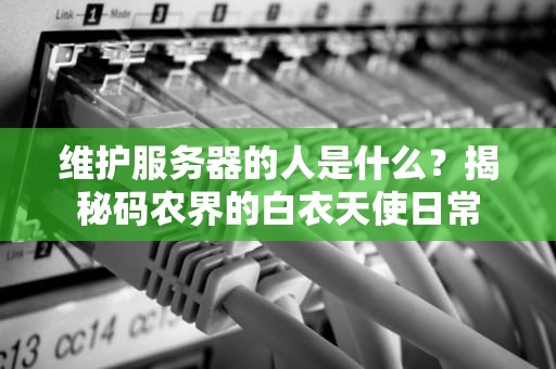 维护服务器的人是什么？揭秘码农界的白衣天使日常