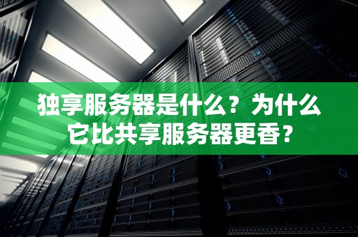 独享服务器是什么？为什么它比共享服务器更香？