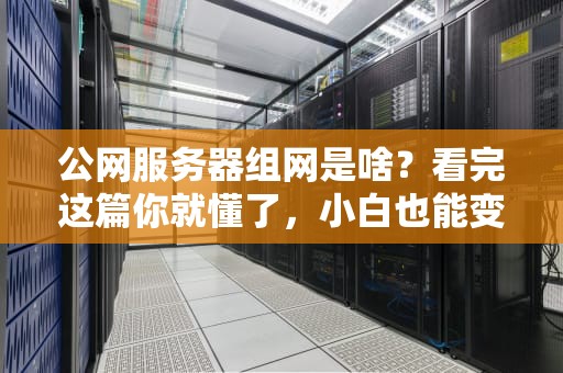公网服务器组网是啥？看完这篇你就懂了，小白也能变大神！