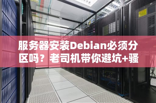 服务器安装Debian必须分区吗？老司机带你避坑+骚操作！