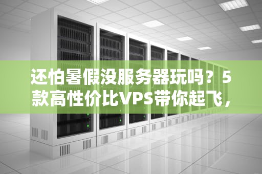 还怕暑假没服务器玩吗？5款高性价比VPS带你起飞，学生党必看！