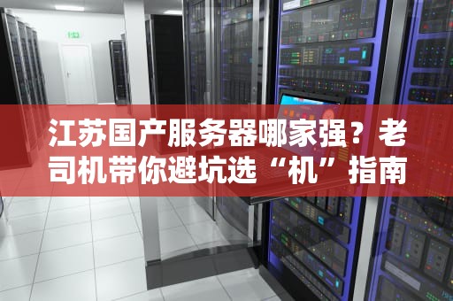 江苏国产服务器哪家强？老司机带你避坑选“机”指南！