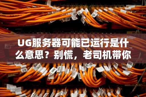 UG服务器可能已运行是什么意思？别慌，老司机带你轻松排雷！