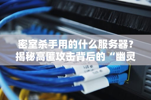 密室杀手用的什么服务器？揭秘高匿攻击背后的“幽灵主机”