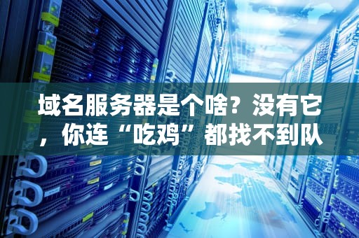 域名服务器是个啥？没有它，你连“吃鸡”都找不到队友！