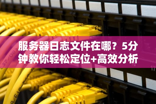 服务器日志文件在哪？5分钟教你轻松定位+高效分析！