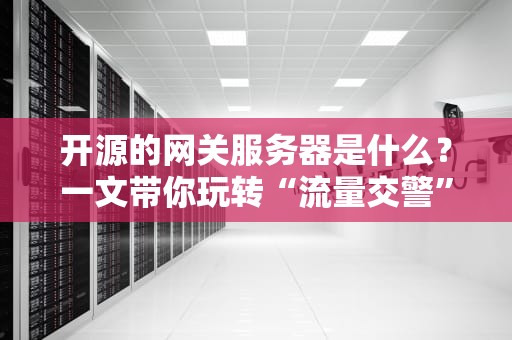 开源的网关服务器是什么？一文带你玩转“流量交警”的省钱秘籍！