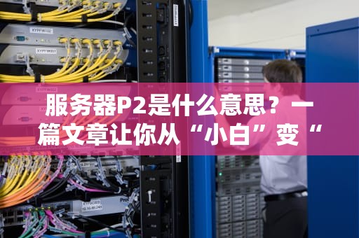 服务器P2是什么意思？一篇文章让你从“小白”变“大神”！
