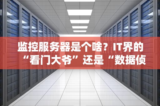 监控服务器是个啥？IT界的“看门大爷”还是“数据侦探”？