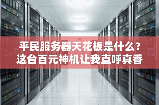 平民服务器天花板是什么？这台百元神机让我直呼真香！