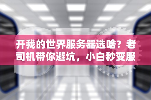 开我的世界服务器选啥？老司机带你避坑，小白秒变服主！