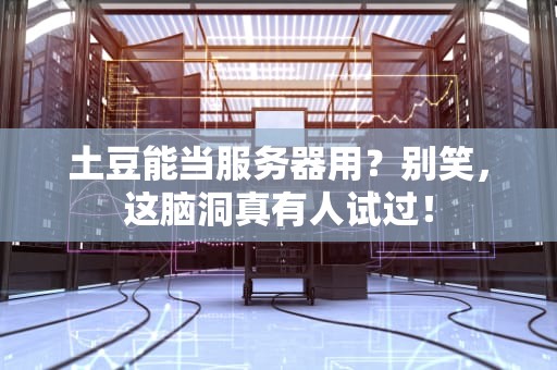 土豆能当服务器用？别笑，这脑洞真有人试过！