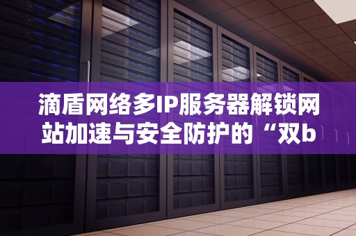 滴盾网络多IP服务器解锁网站加速与安全防护的“双buff”神技！