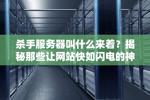 杀手服务器叫什么来着？揭秘那些让网站快如闪电的神器！