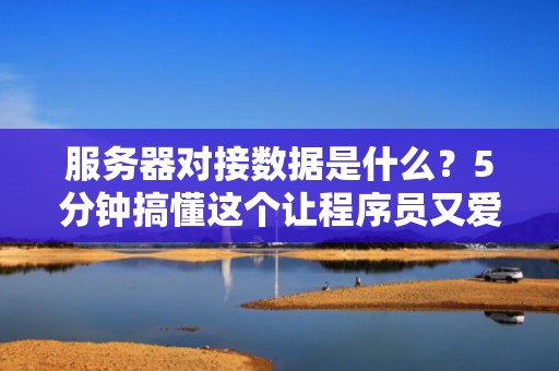 服务器对接数据是什么？5分钟搞懂这个让程序员又爱又恨的红娘