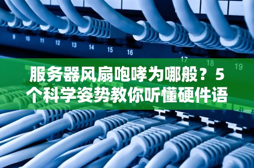服务器风扇咆哮为哪般？5个科学姿势教你听懂硬件语言！