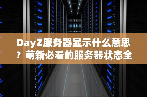 DayZ服务器显示什么意思？萌新必看的服务器状态全解析！